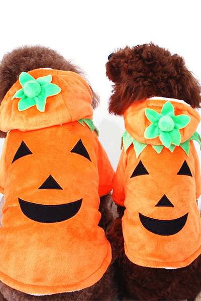 ハロウインかぼちゃ子犬仮装服