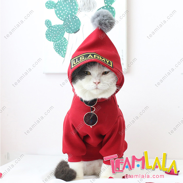 猫犬秋冬洋服販売安い