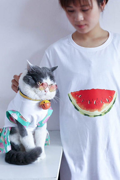 白いスカイ猫犬半袖Tシャツ